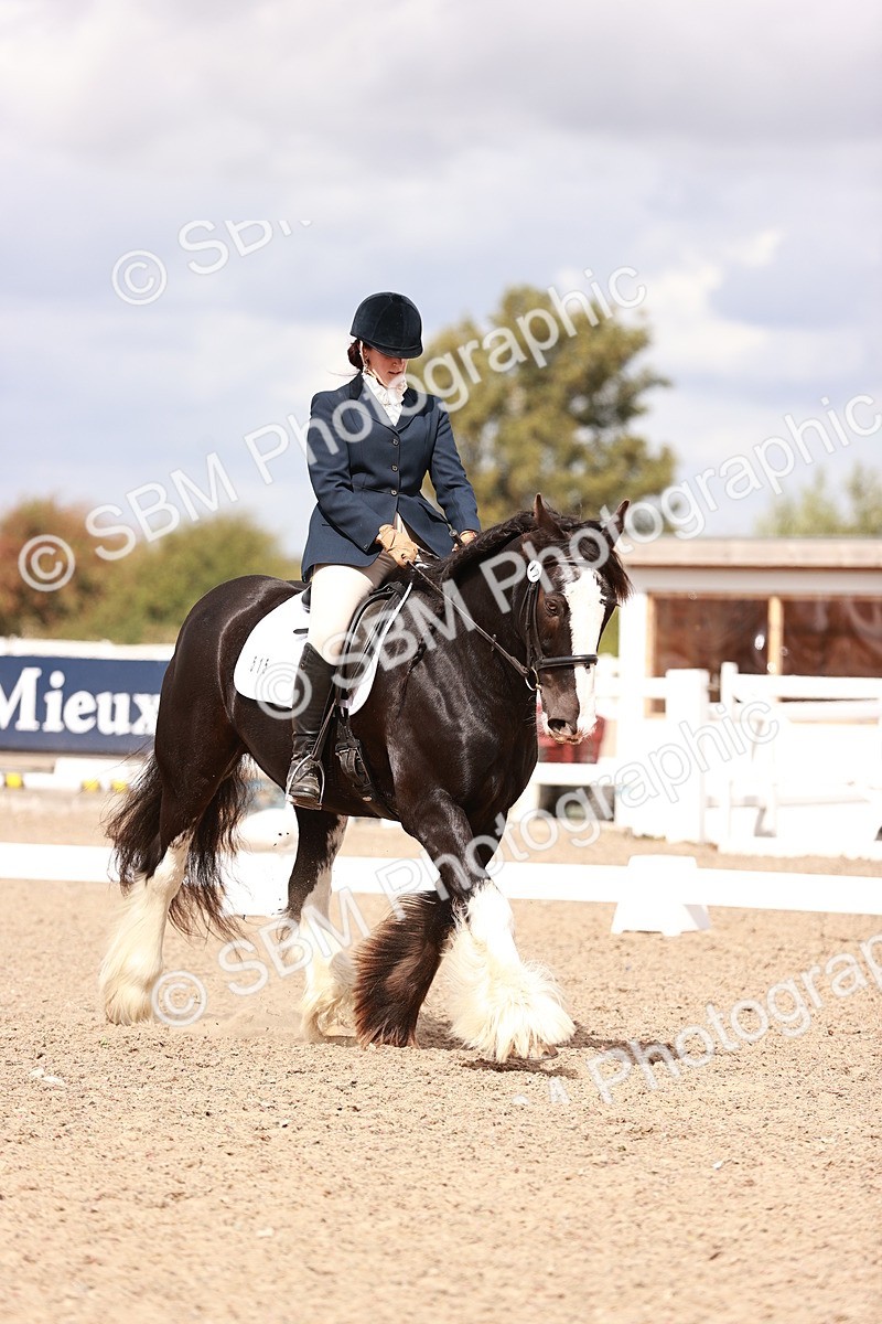 SBM_06214 - Class 37 - Novice 5