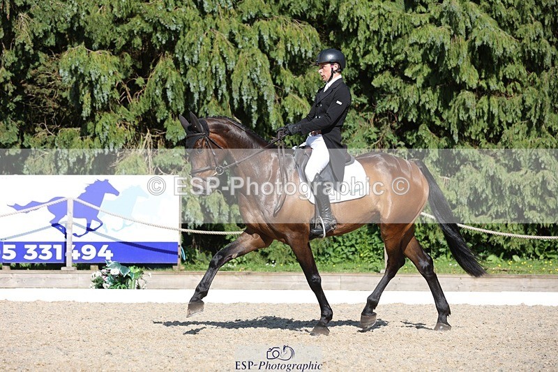 230526-165937-07880 - 174-LANCELOT_BMG-Alfie_Marshall-WEDTrotUp+DR