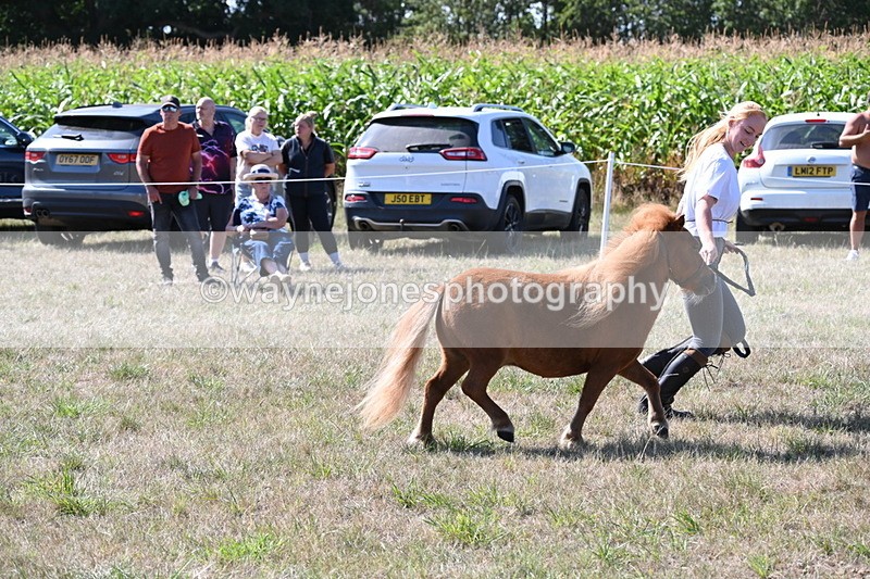 WJ6_4820 - Class 17 Mountain & Moorland