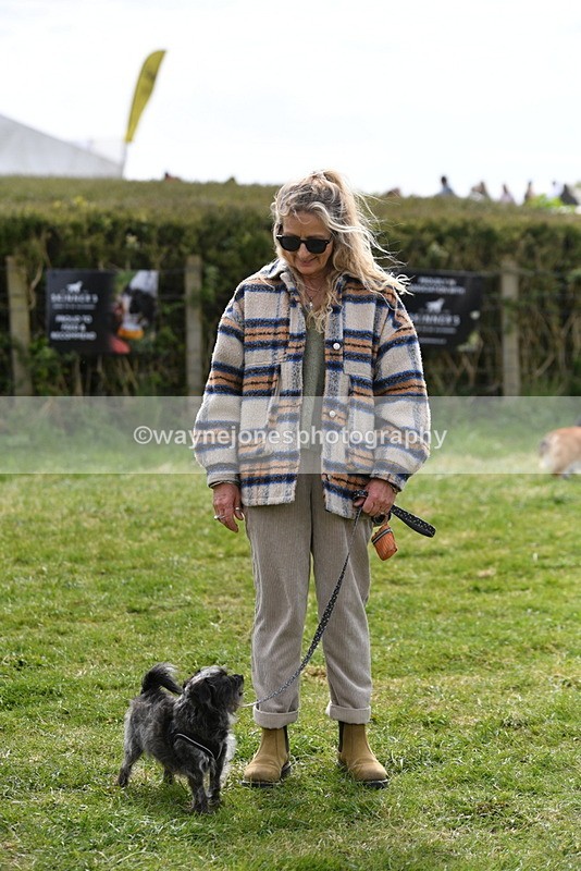 WJ5_9854 - Class 3 Most Handsome Dog