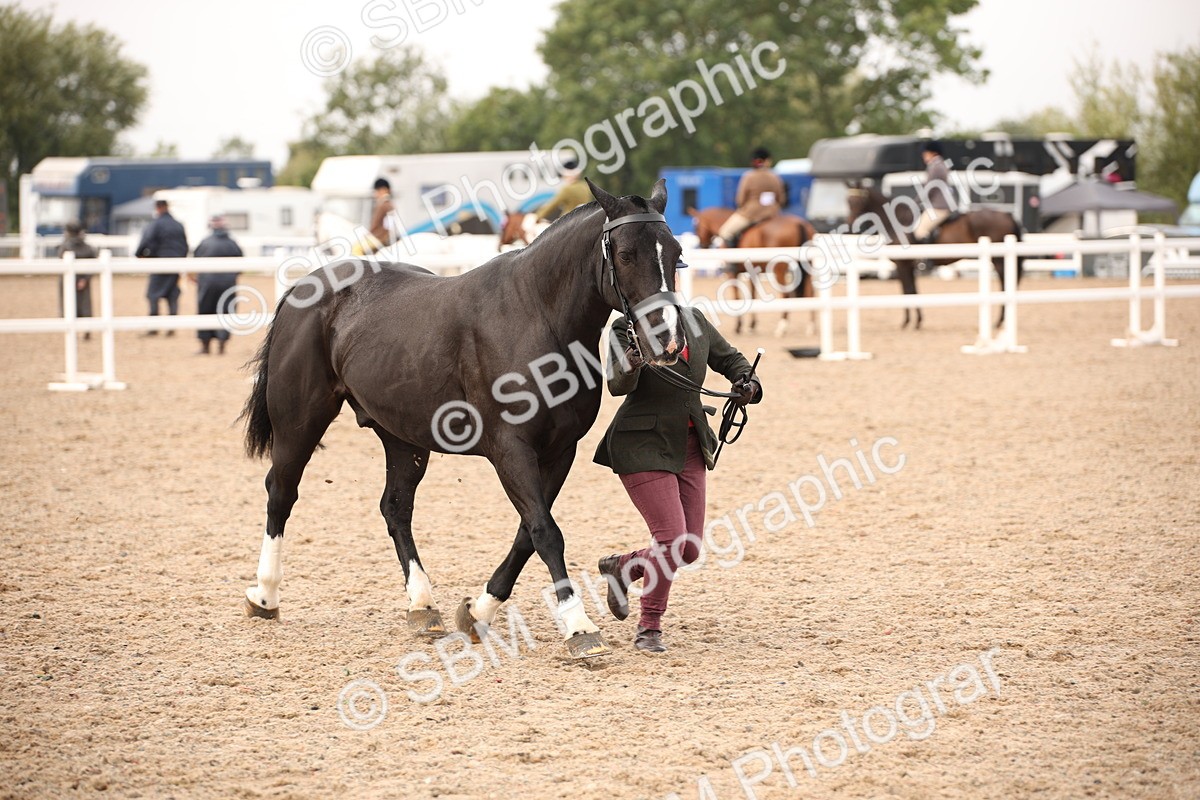 SBM_21488 - Class 706 - IH  Veteran