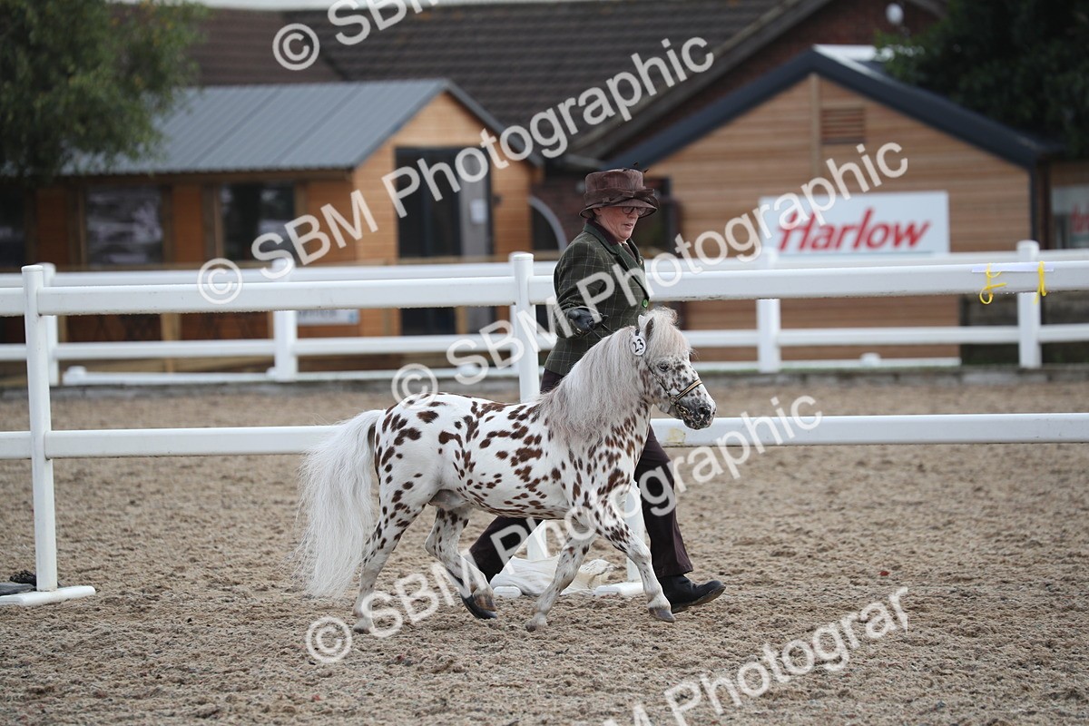 SBM_23071 - Class 605 - 2025 Area - IH Veteran