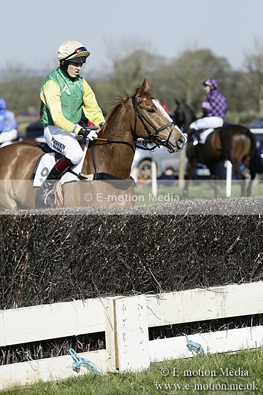 PtP 260317 172 - Mendip Farmers Point-to-Point Ston Easton 26/03/17