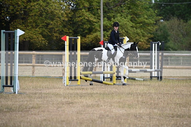 WJ6_0127 - Class 13 Novice Jumping 60cm