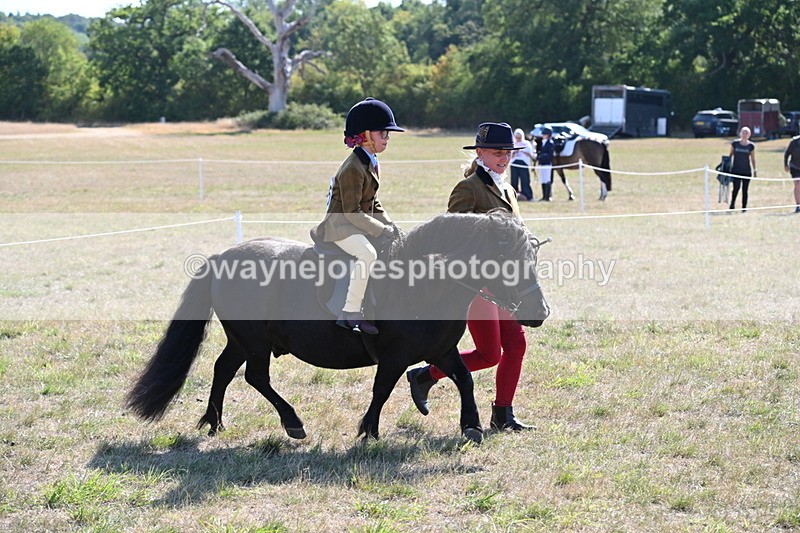 WJ6_7440 - Class 34 Judges Choice