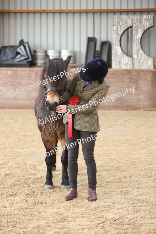 20251109-0671 - Class 22 - Geldings 4 Years and over