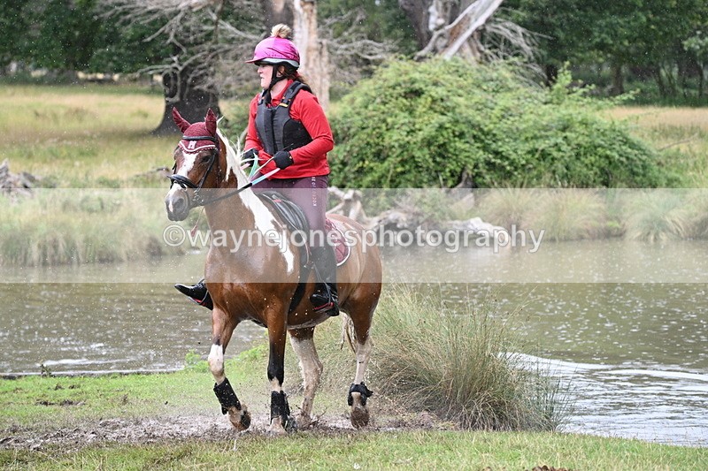 WJ7_5593 - Time at Water 14:00 to 14:53