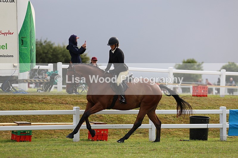 3E7A8089 - Class 2: Rising Star Large Hack/Riding Horse