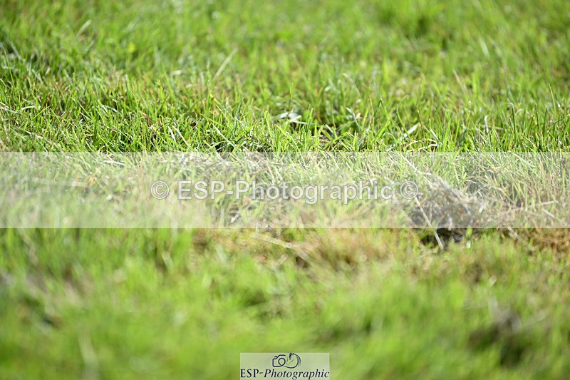 240824X-115924-26140 - D80 Section E and F 11.00 to 12.00