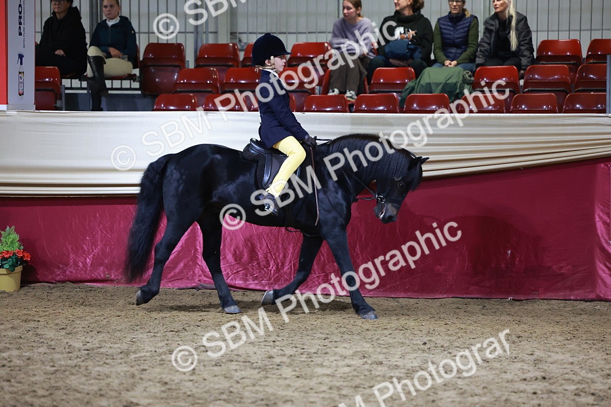 SBM_21535 - Class V - Champion of Champions