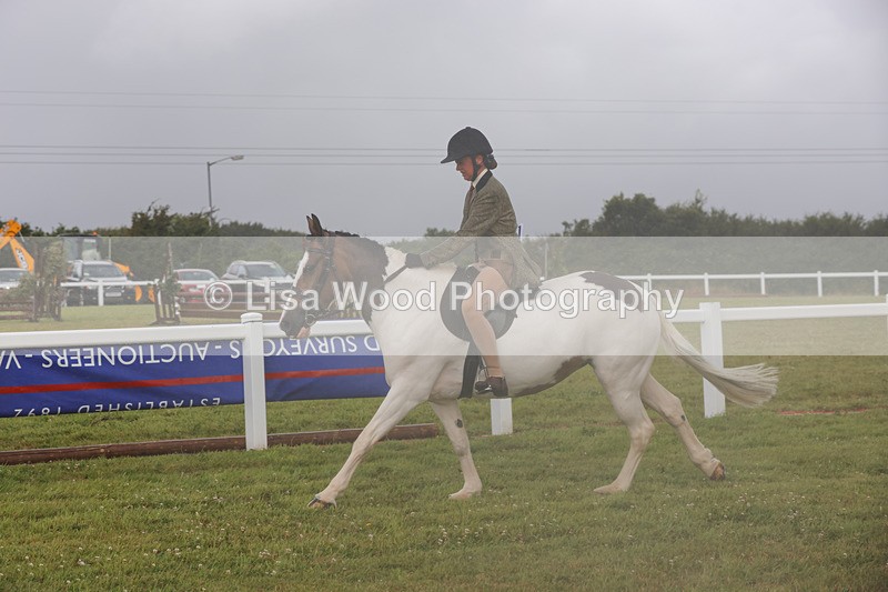 1X9A3022 - Class 26: Ridden Plaited Coloured Pony