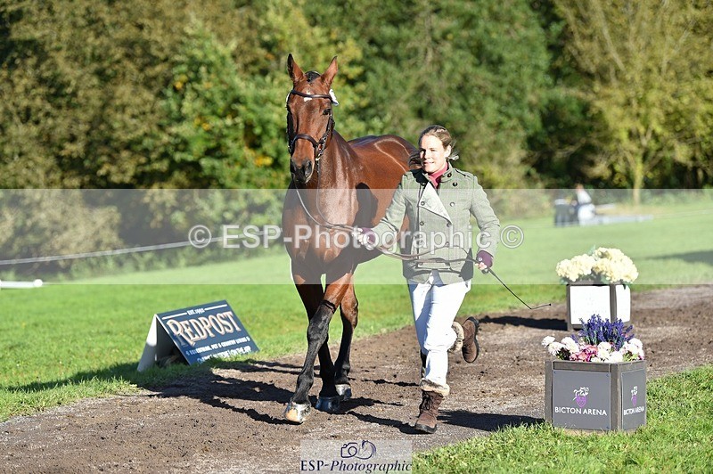 231022-102024-22421 - 433-WILLIAM-Laura.Sharpe-TrotUp+SJ