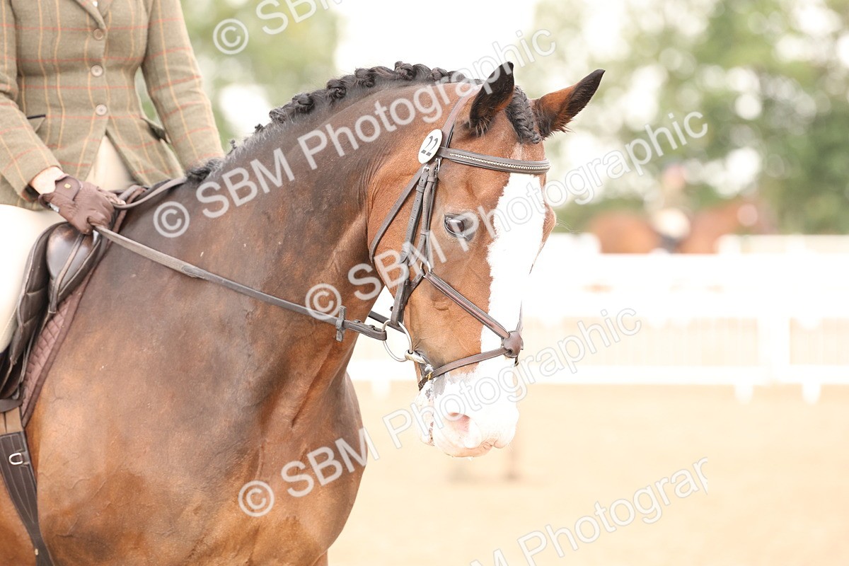 SBM_07559 - Class 59b -  Style & Performance - 80cm (20+)