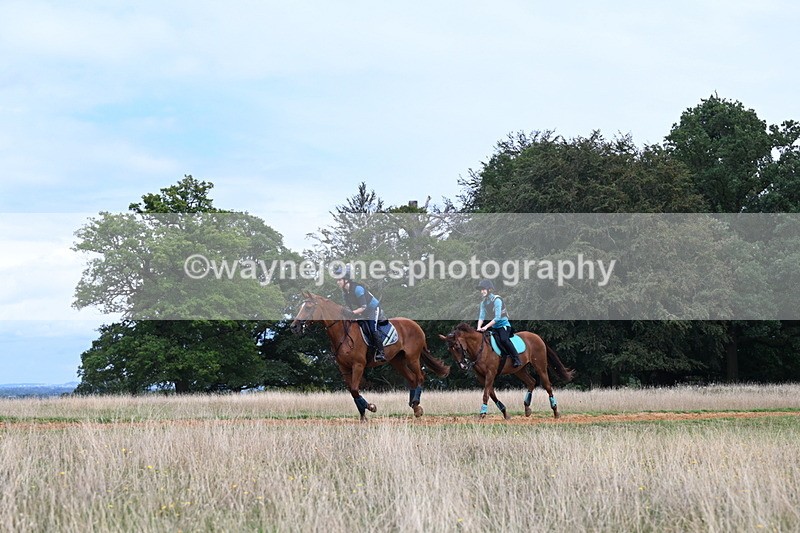 DSC_7731 - Time at Statue 13:16 to 13:52