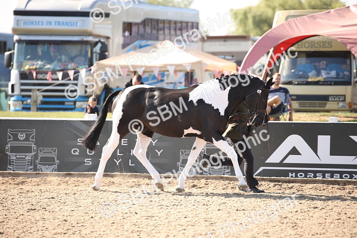 SBM_01460 - Class 15 IH Coloured