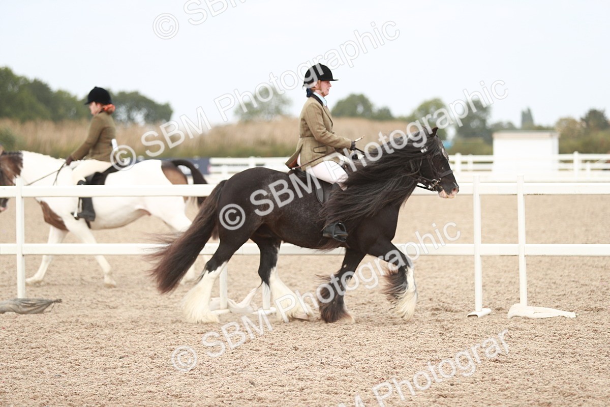 SBM_16637 - Class 214 Ridden Cob