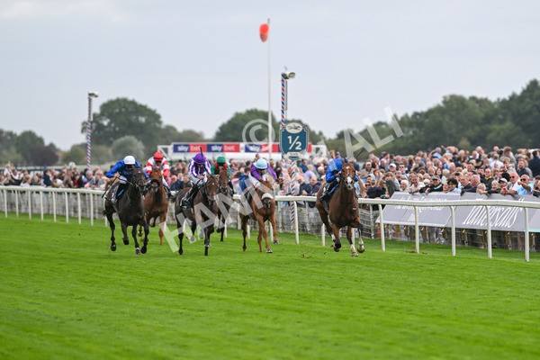 200825-Race 4-Ombudsman-1596 - Race 4 3.35pm Juddmonte International Stakes