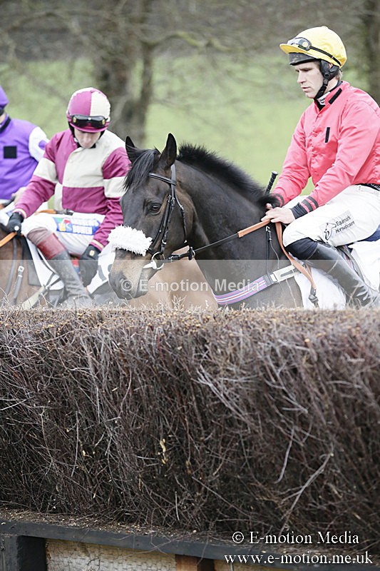 PtP 020418 -431 - Old Berks Point-to-Point Races Easter Monday 02/04/18