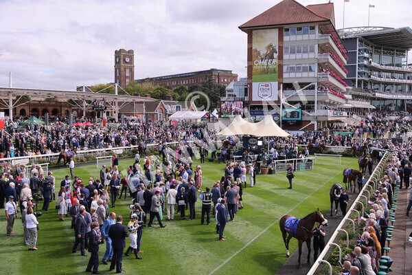 yr17082022r1-018 - Race 1 1.50pm Sky Bet & Symphony Group Stakes