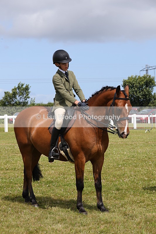 1X9A4108 - Class 32: Show Hunter Pony 153cm and under