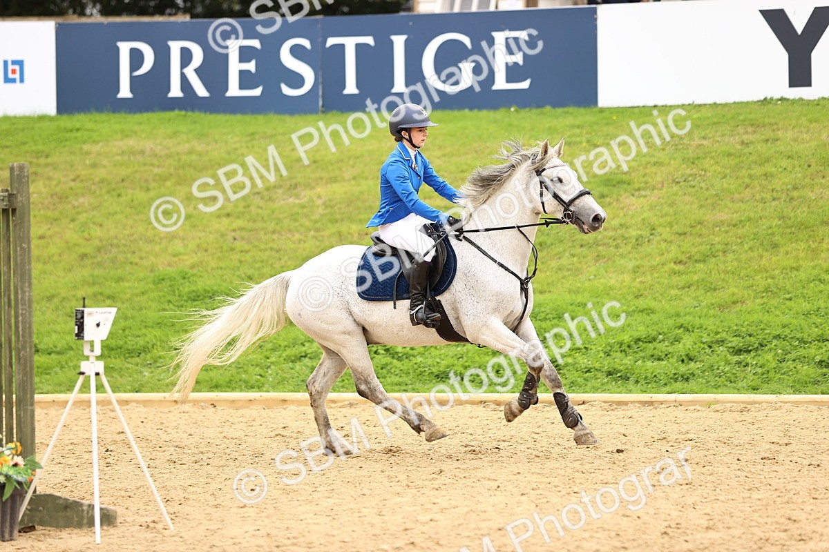 SBM_66492 - J17 - Junior Pony 80cm Championship