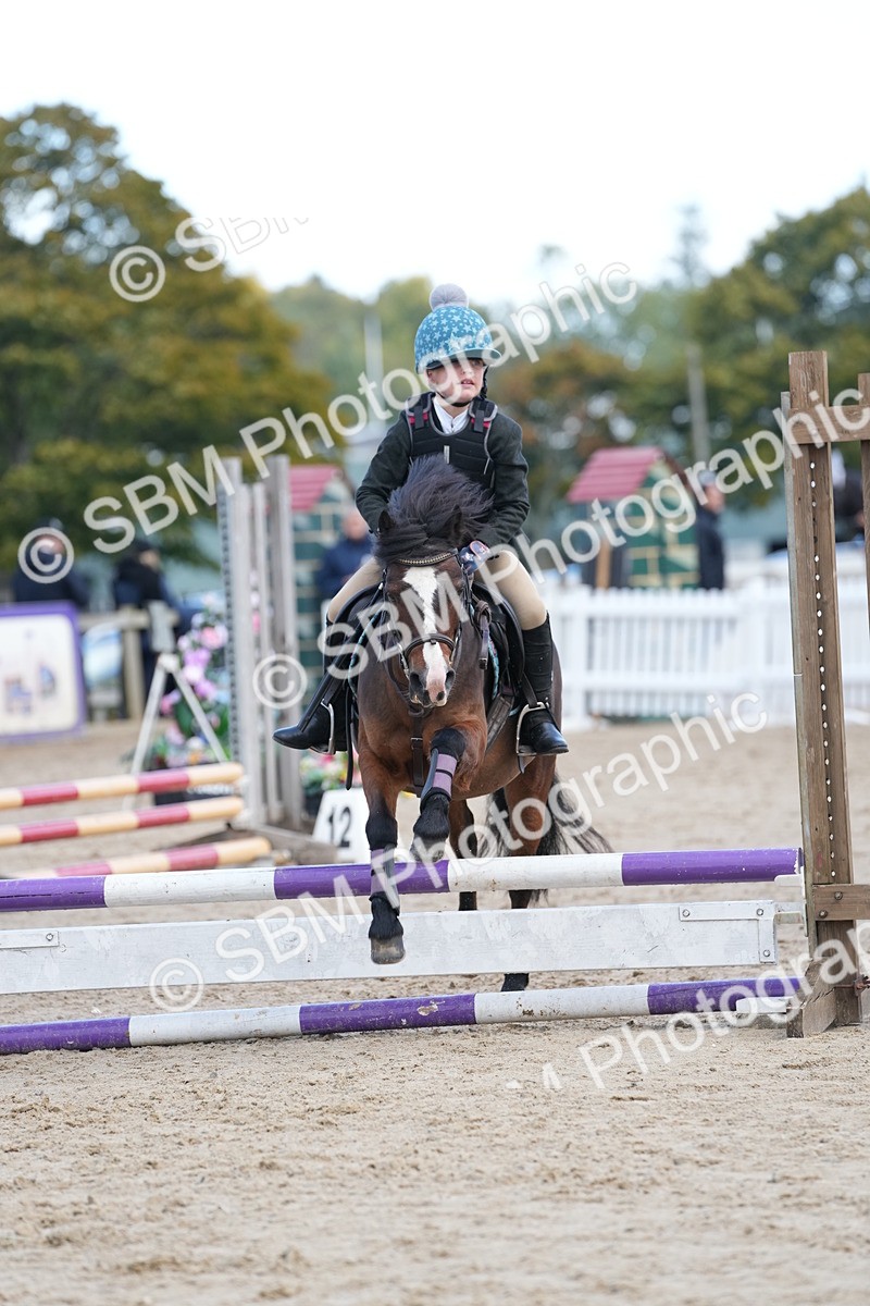 SBM_20645 - J49 - Open 50cm