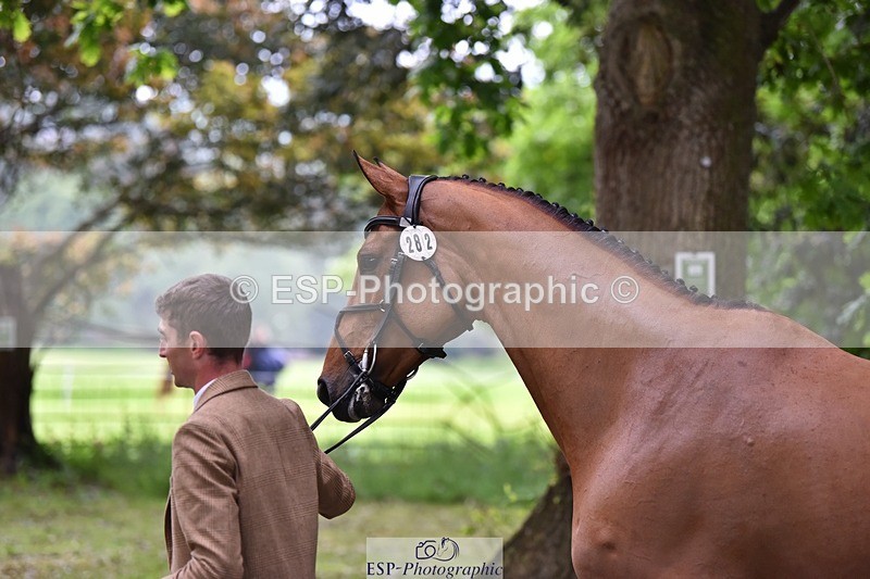 240522-165628-01268 - 282-COOLEY_CORNASUS-Tom_Jackson