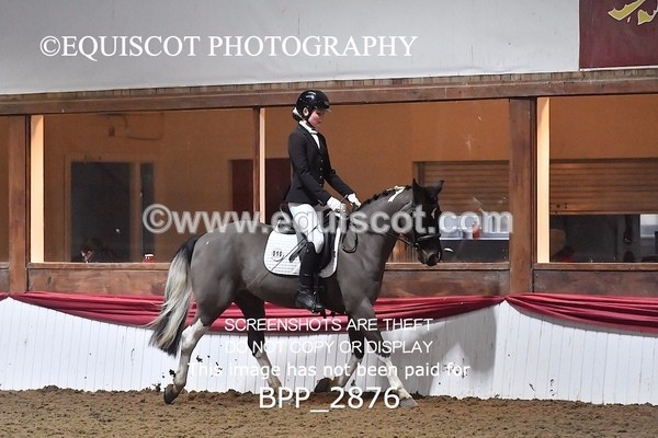 BPP_2876 - 10 - K MILLER