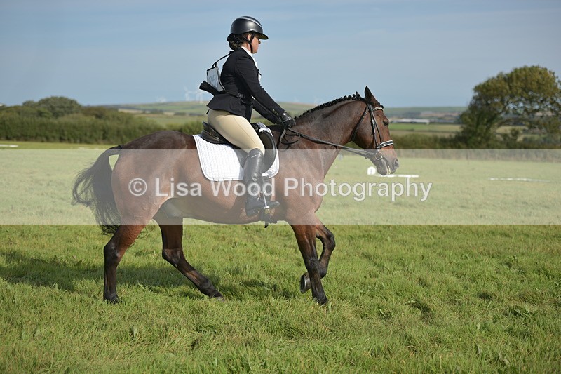 RAY_7743 - Class 2B: Trekenning Open: Dressage