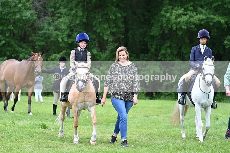 WJ7_4282 - Class 14A Handsome Gelding