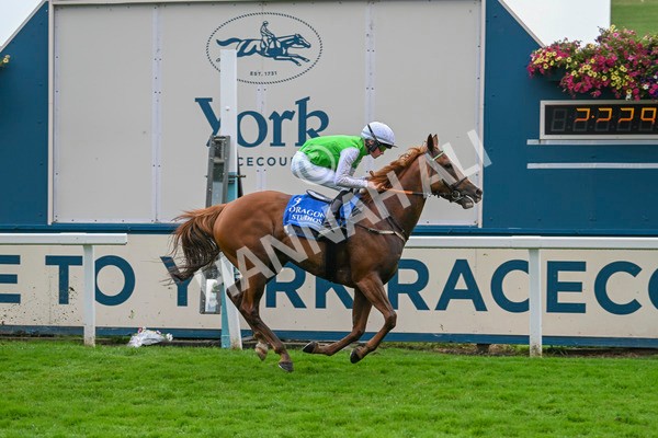 080924-Pony Race-8546 - Pony Race 1.00pm The Dragon (TV and Film) Studios Pony Race 148cm & Under