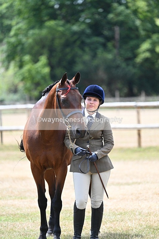 WJ7_2098 - Prettiest Mare Champs