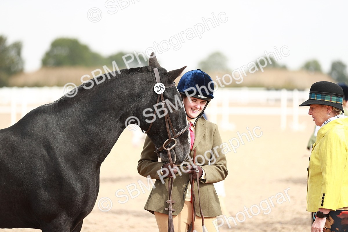 SBM_11880 - Class 206 IH Non Show Type Pony