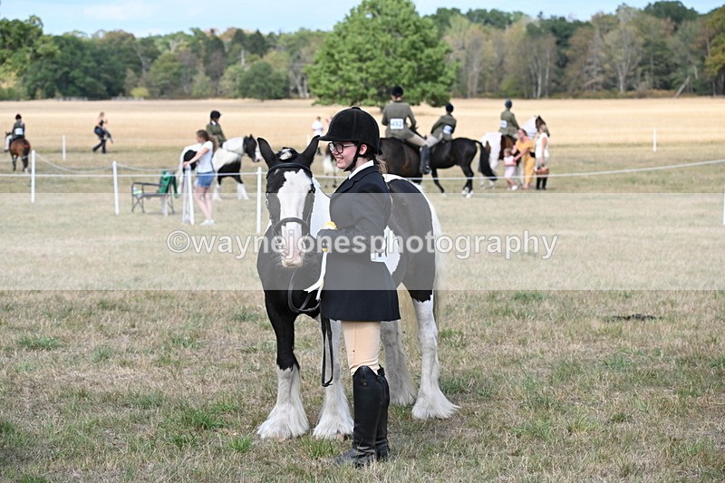 WJ6_6768 - Class 20 In-hand Cob