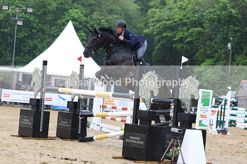 3E7A7353 - Class 8: Senior Foxhunter/1.20 open
