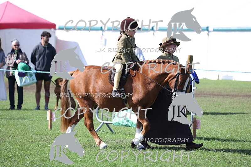 APP_3802 - Class 13 Lead rein