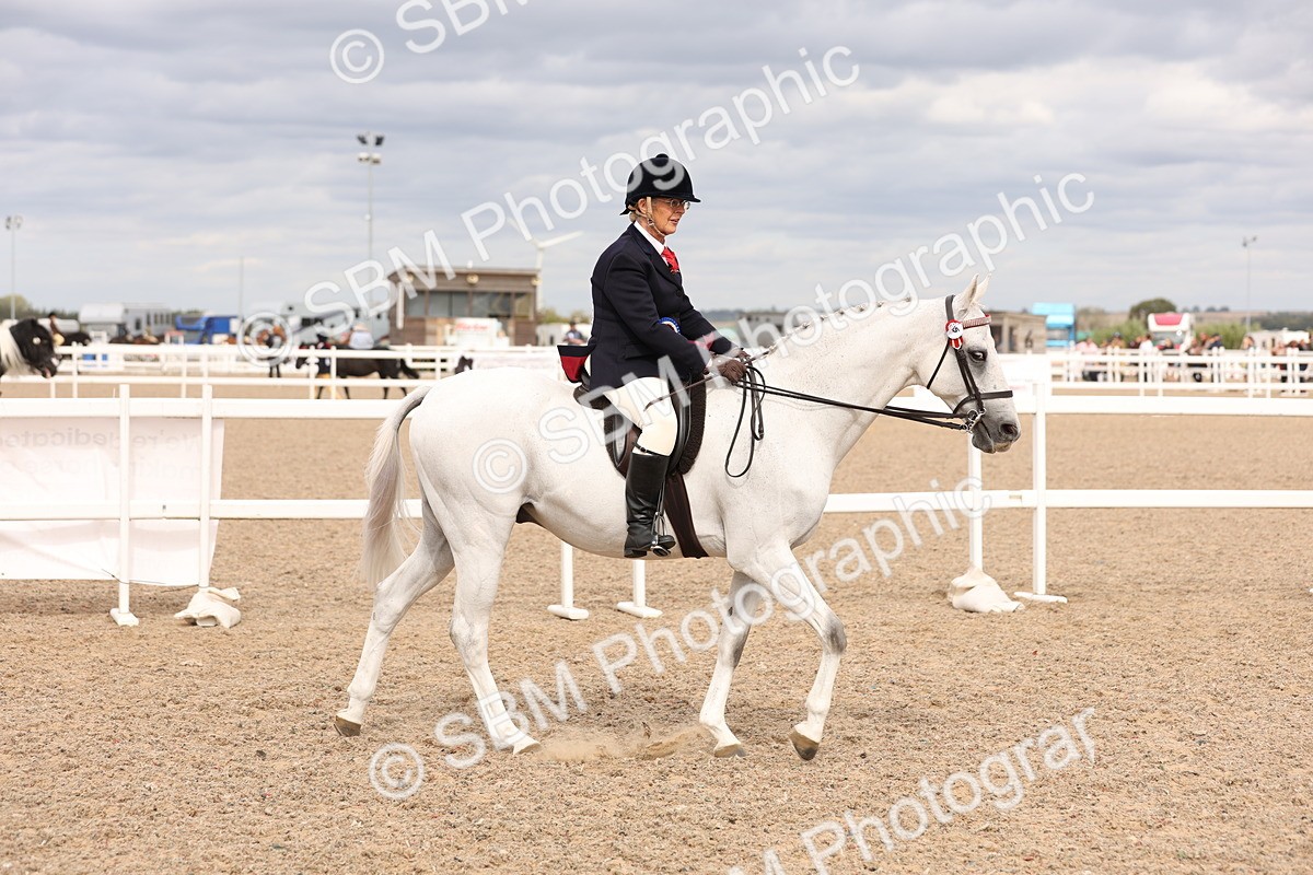 SBM_17392 - Class 214 - Ridden Hack Riding Horse