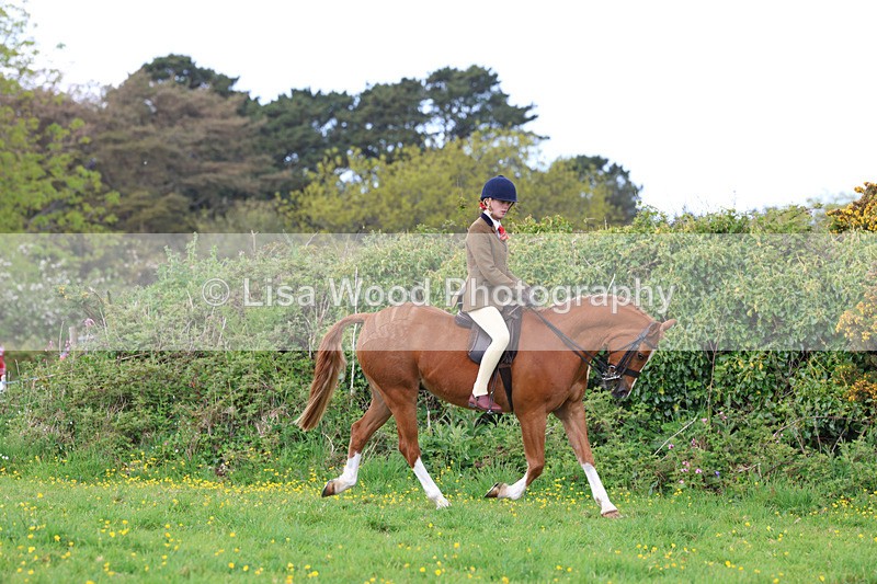 3E7A2025 - Class 10: Ridden Sports Horse