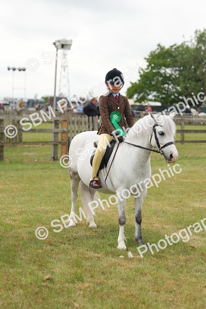 SBM_06906 - Class 74-75 - M&M Lead Rein and First Ridden Pony