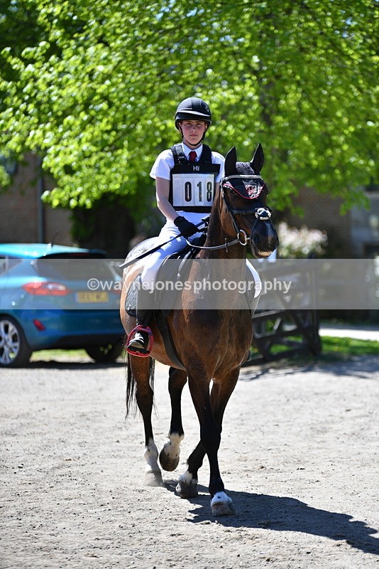 WJ5_7493 - 80cm time 12:47 to 13:39