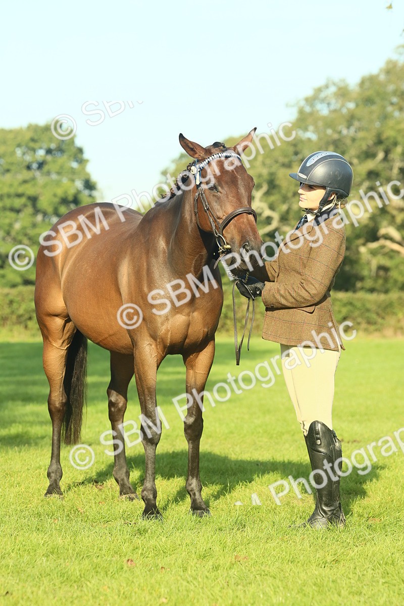 SBM_58590 - S37 - Starters In Hand Showing
