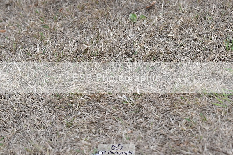 250820A-173843-12139 - Wednesday Presentations