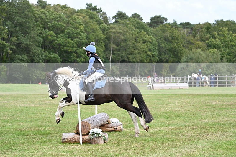 WJ7_8983 - 60cm Time 12:31 to 12:50