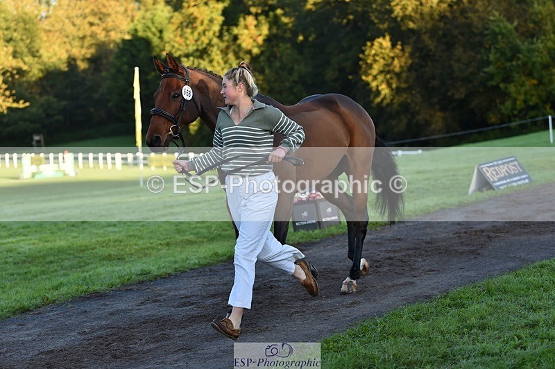 231022-085124-21404 - 668-BOWHAYLANDS.SKYFALL-Miya.Johns-TrotUp+SJ