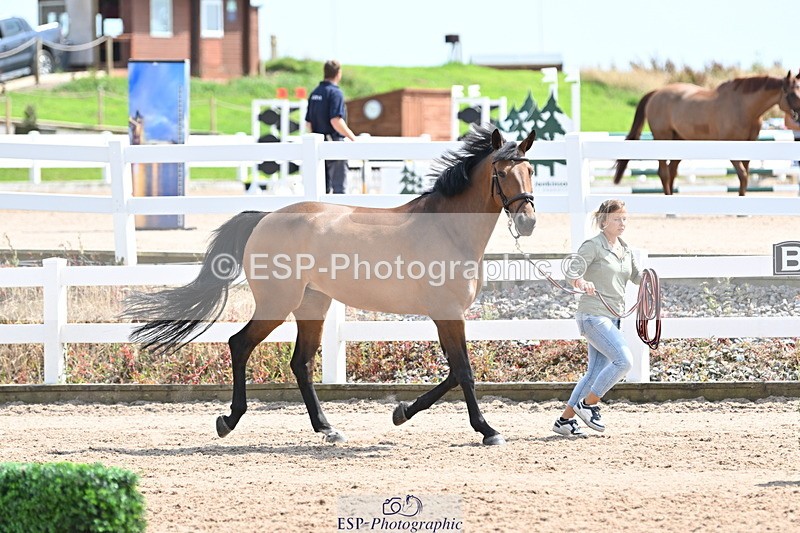 240717A-145219-02356 - Trot Up 2pm to 3pm - This folder is not in time order