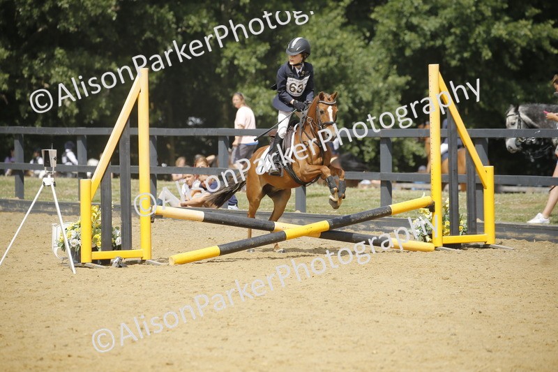 20250622-3943 - 50cm