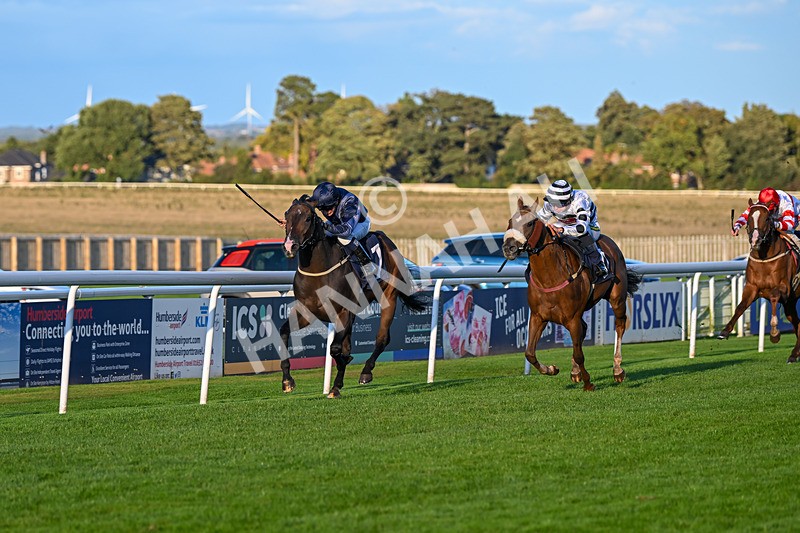 240924-Race 8-Claxton Bay-7139 - Race 8