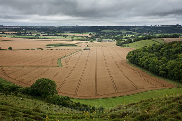  - Bath and the South West