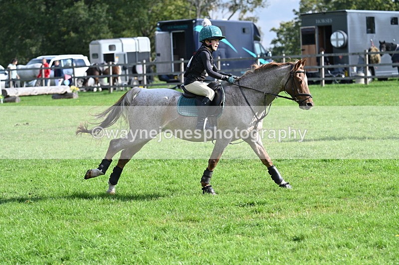 WJ7_4971 - 60cm Time 11:11 to 11:19