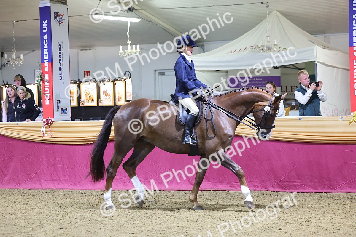 0B8A4475 - Class O Ridden Show Horse Champ
